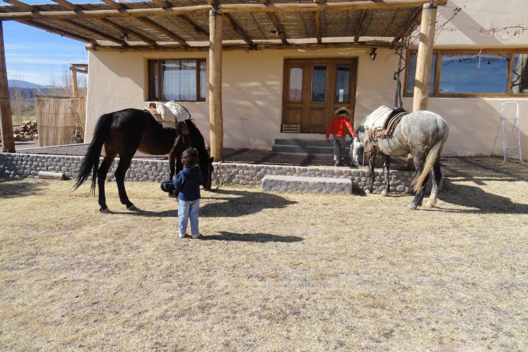 Photo of Others in Barreal