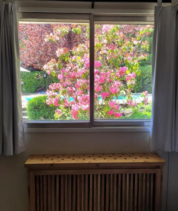Photo of Bedroom in Dina Huapi