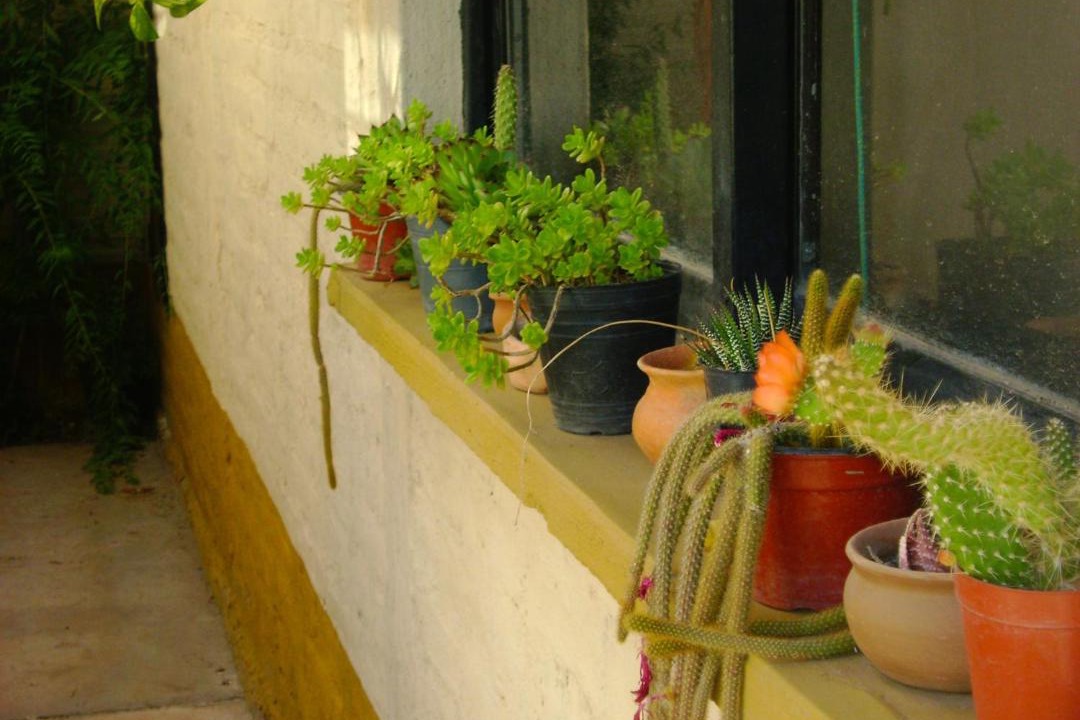 Photo of Patio Balcony in Eugenio Bustos