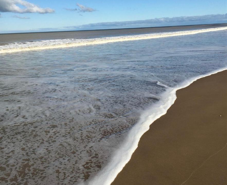 Photo of Others in Pinamar