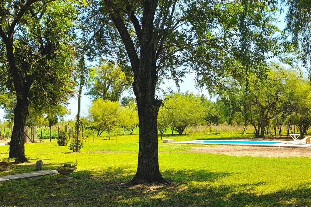 Photo of Outdoor in Lobos