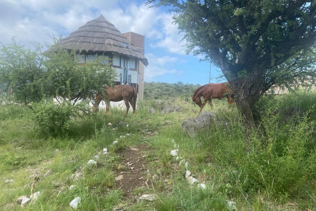 Photo of Others in San Francisco del Monte de Oro
