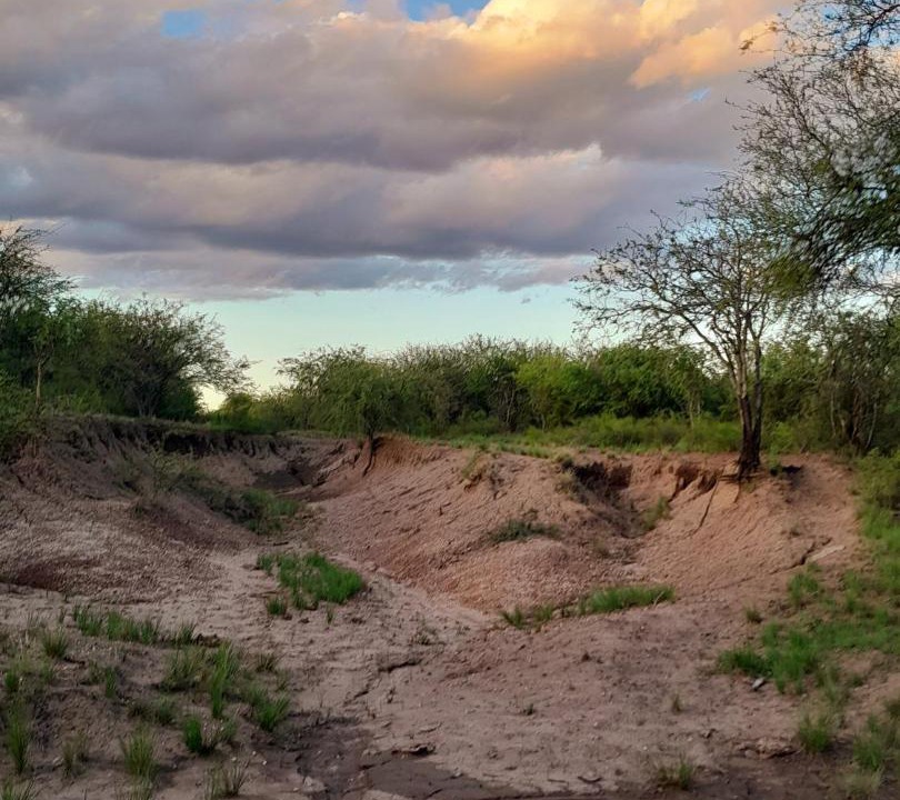 Photo of Others in Luan Toro