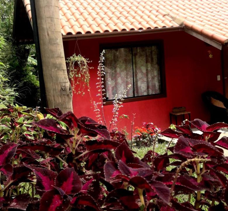 Photo of Others in Sao Pedro da Serra