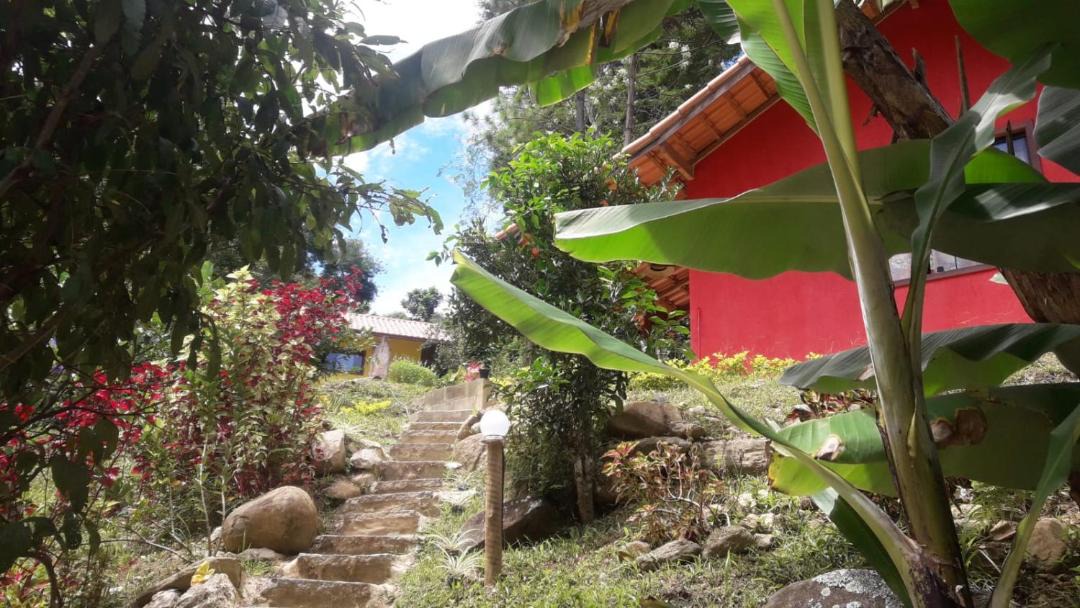 Photo of Others in Sao Pedro da Serra