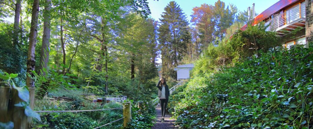 Photo of Others in San Martin de los Andes