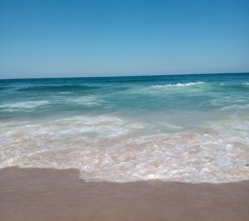 Photo of Others in Praia do Rosa
