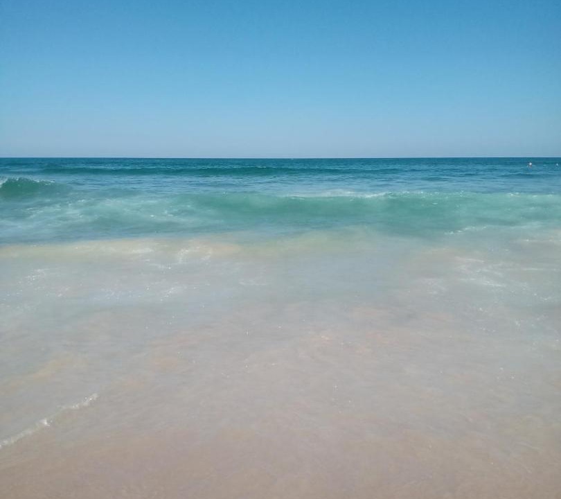 Photo of Others in Praia do Rosa