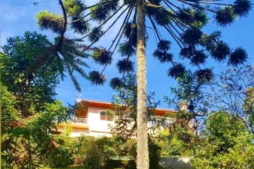 Photo of Outdoor in Jardim Andira