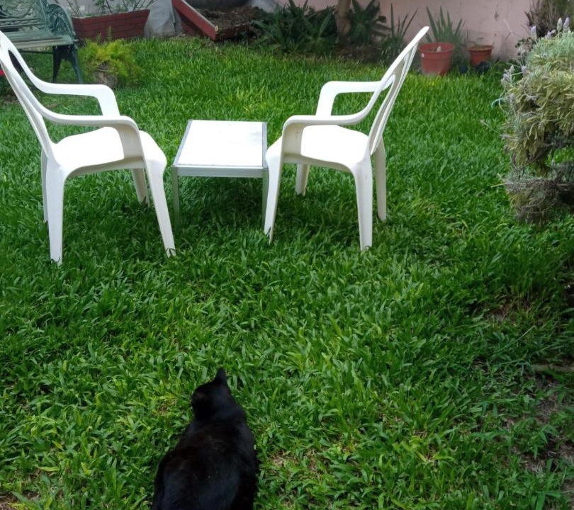 Photo of Others in Villa Adelina