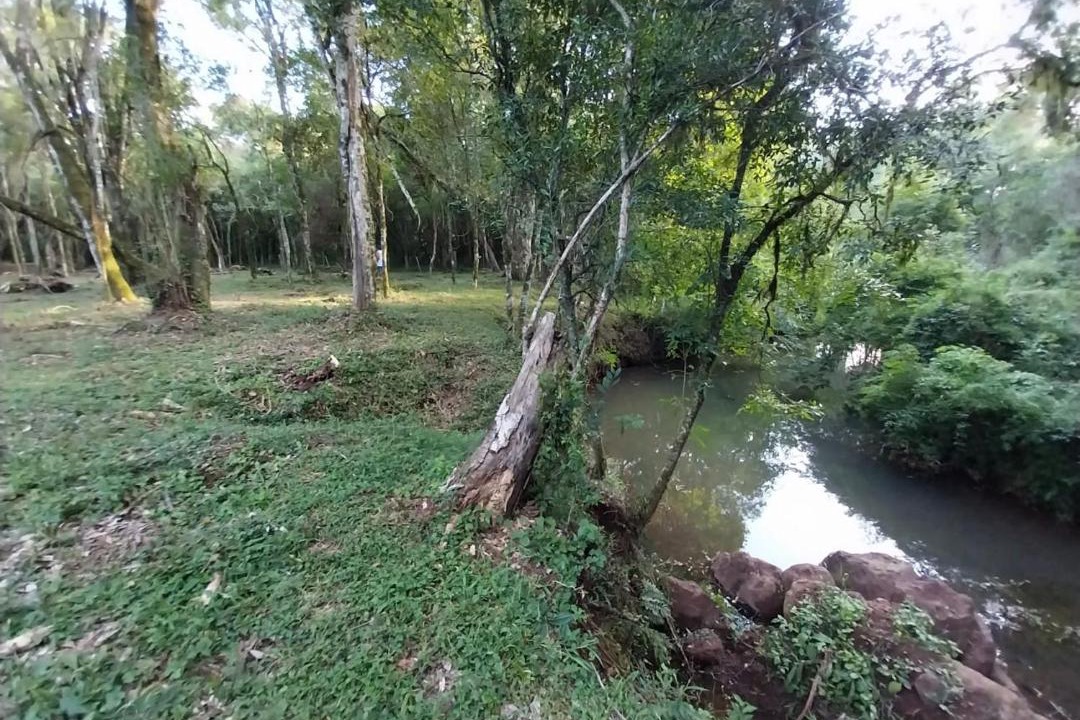 Photo of Others in Caa Yari