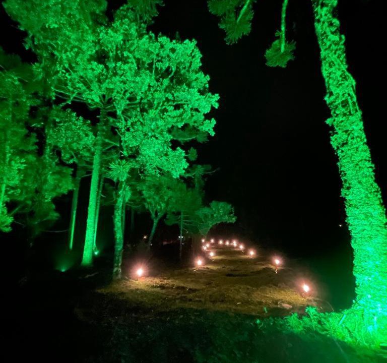 Photo of Others in Cambara do Sul