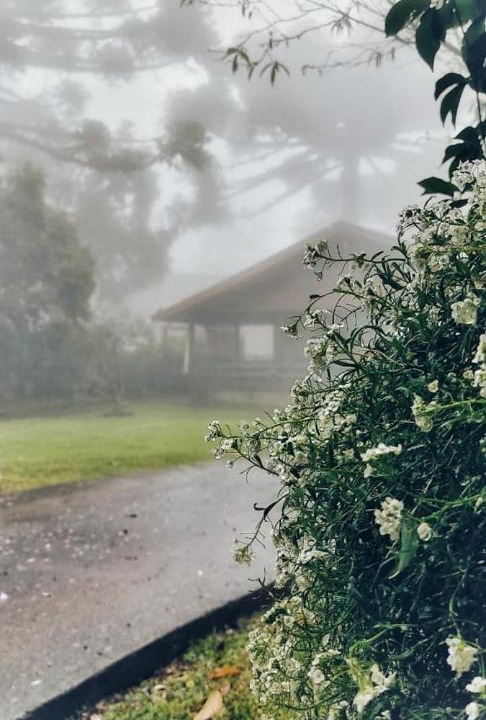 Photo of Outdoor in Gramado