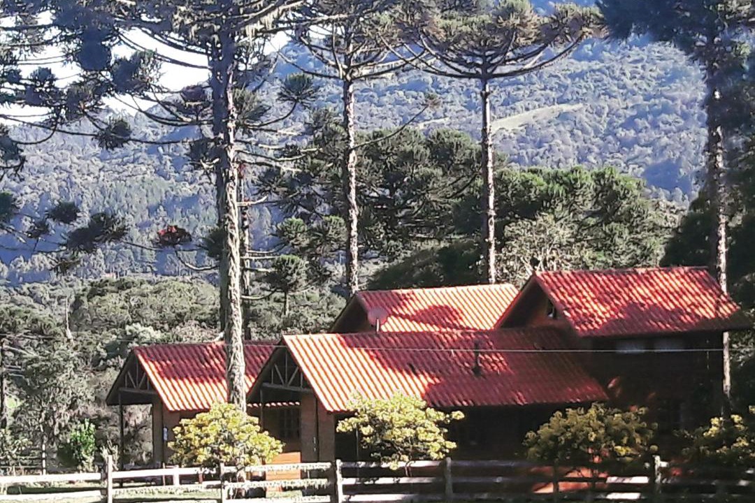 Photo of Others in Urubici