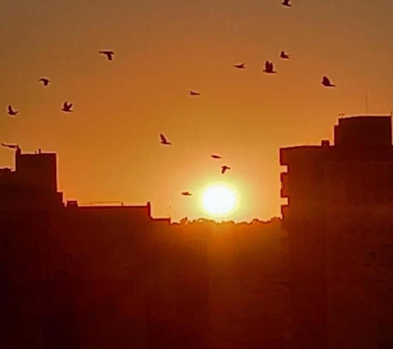 Photo of Others in Bahia Blanca