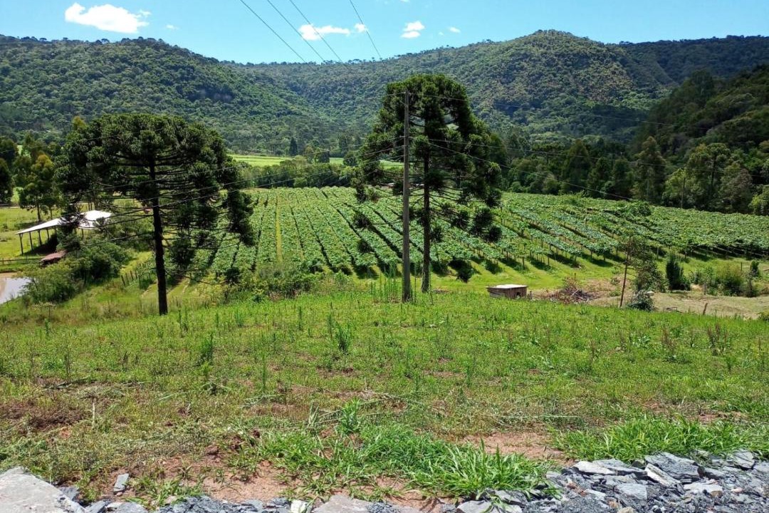 Photo of Others in Urubici