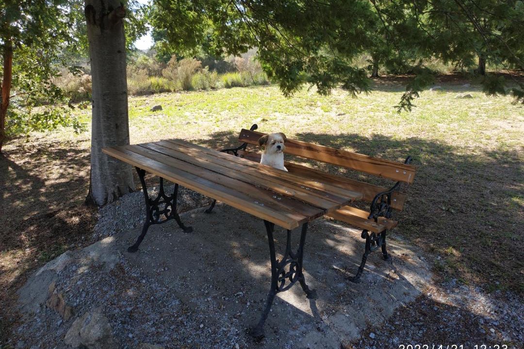 Photo of Others in Tandil