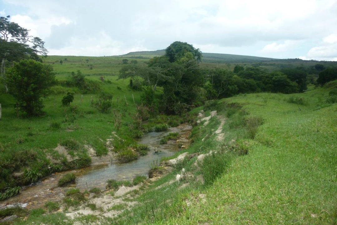 Photo of Others in Carrancas