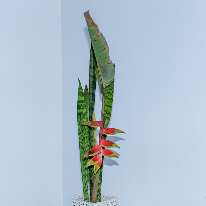 Photo of Others in Piranguinho