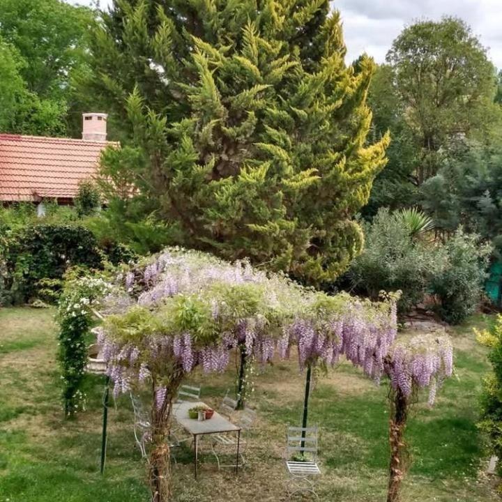 Photo of Outdoor in Vistalba