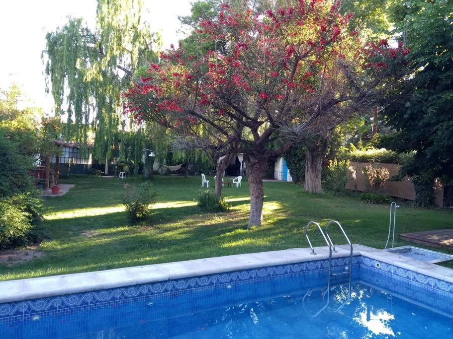 Photo of Others in Chacras de Coria