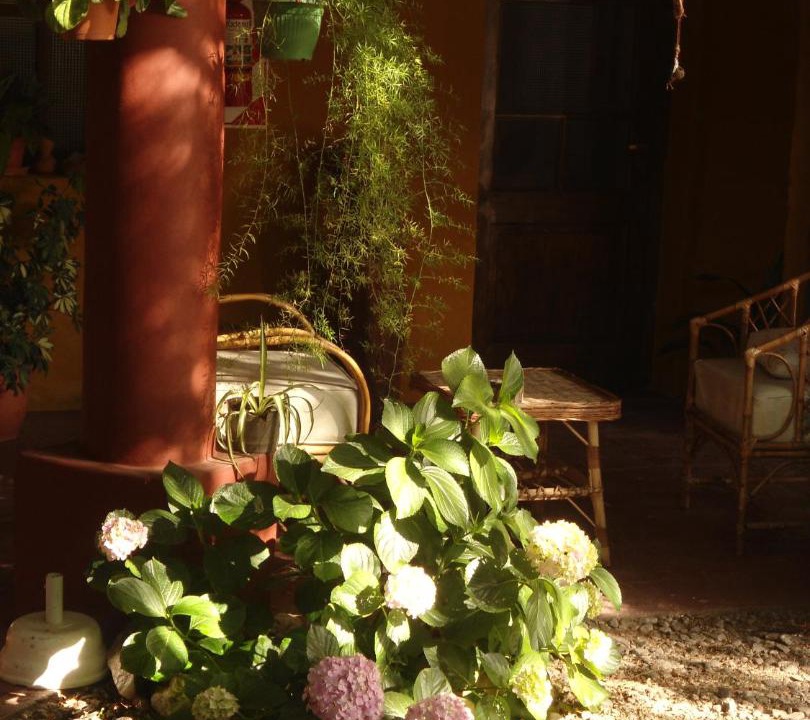 Photo of Others in Cafayate