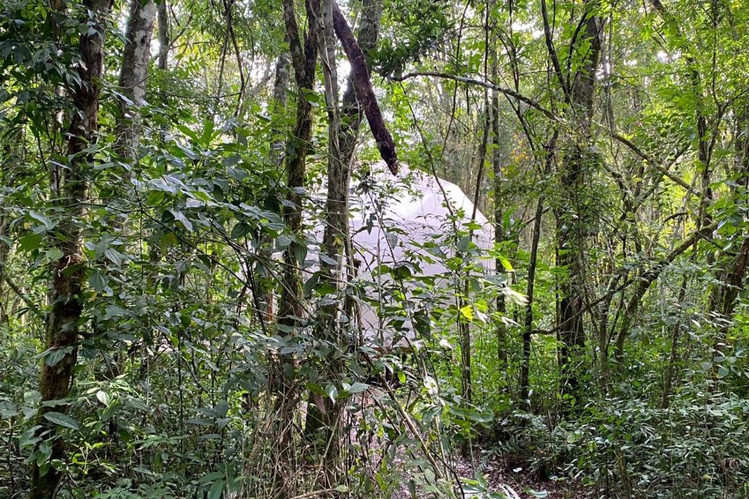 Photo of Others in El Soberbio