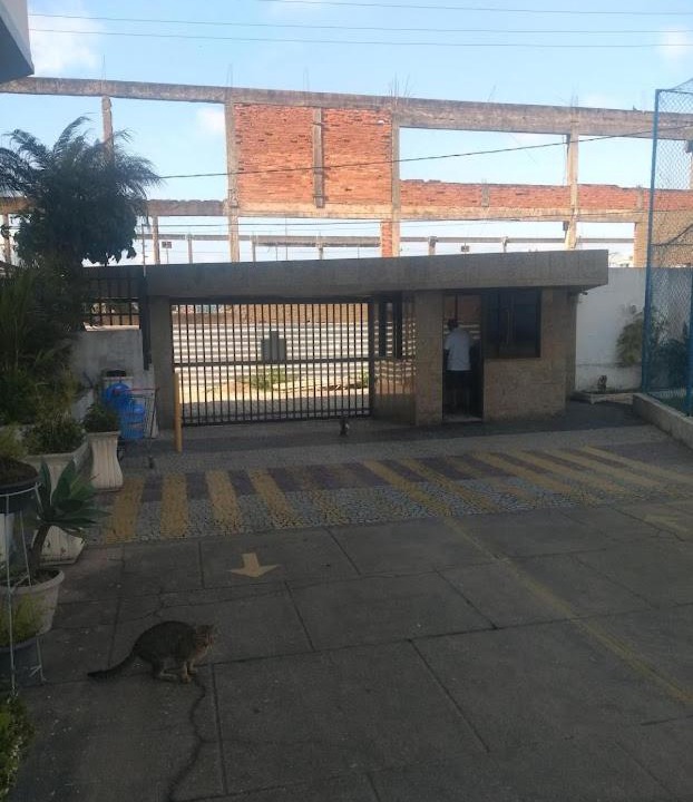 Photo of Others in Parque Central
