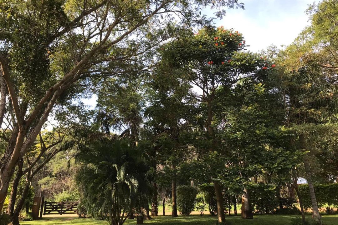 Photo of Outdoor in Paso de la Patria