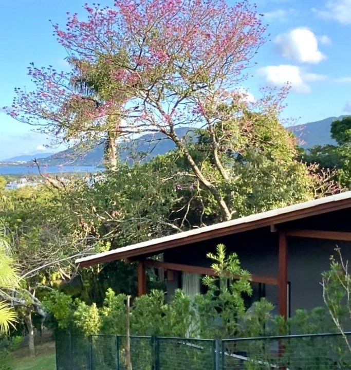 Photo of Others in Lagoa da Conceicao