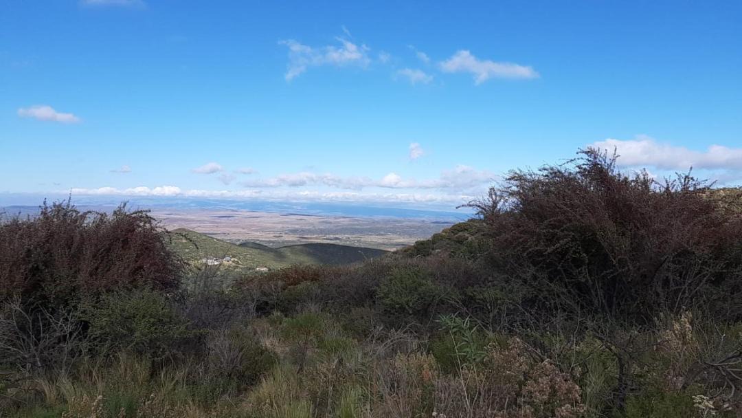 Photo of Outdoor in Cruz Chica