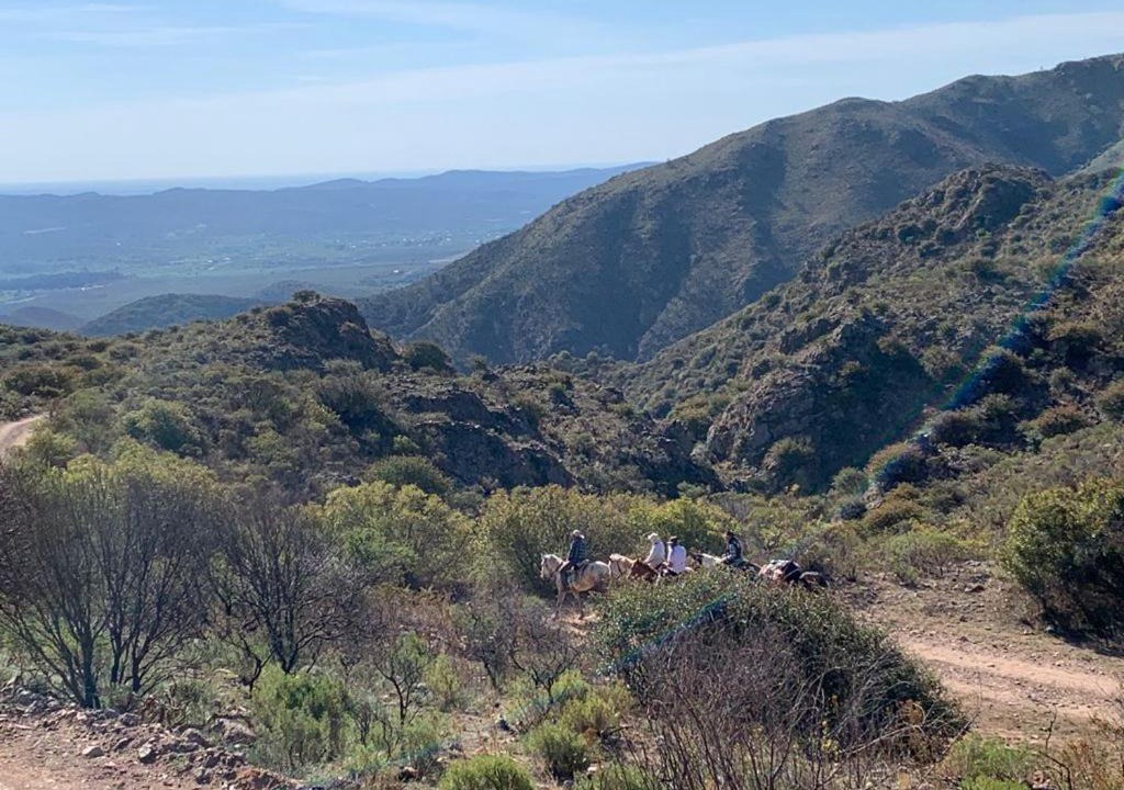 Photo of Outdoor in Cruz Chica