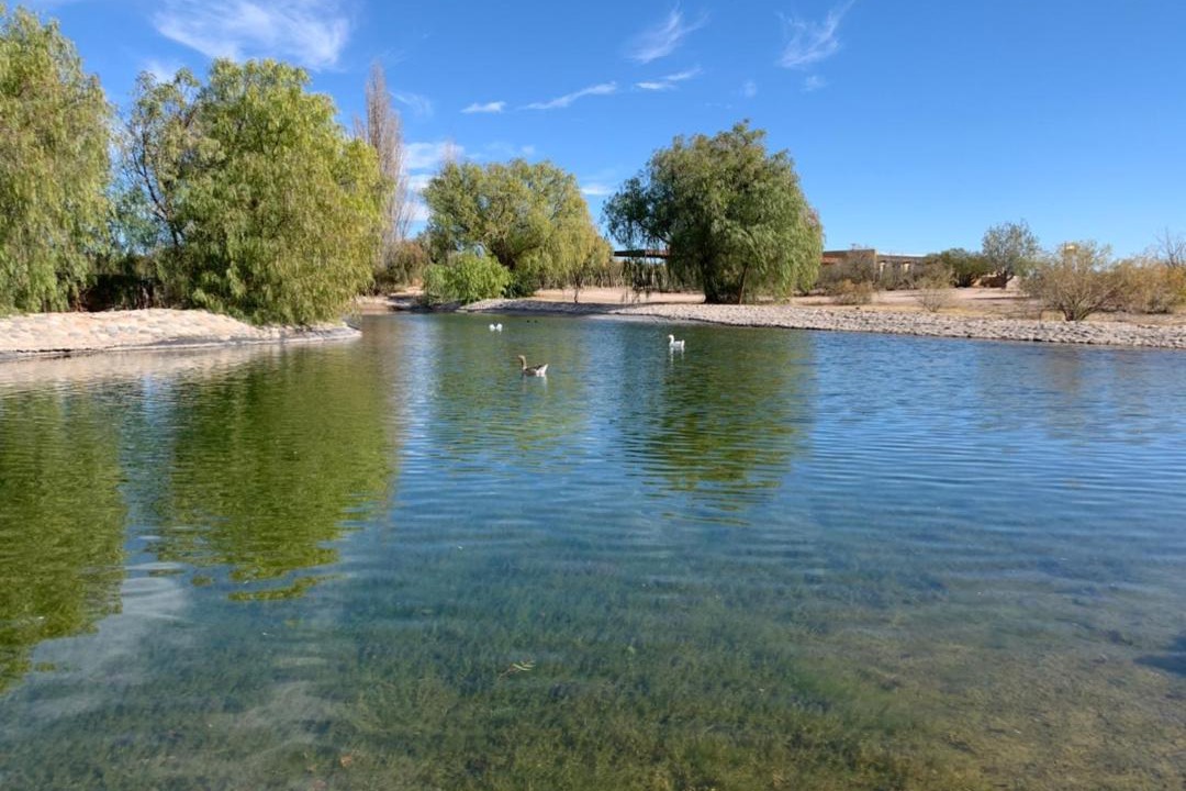 Photo of Outdoor in San Rafael