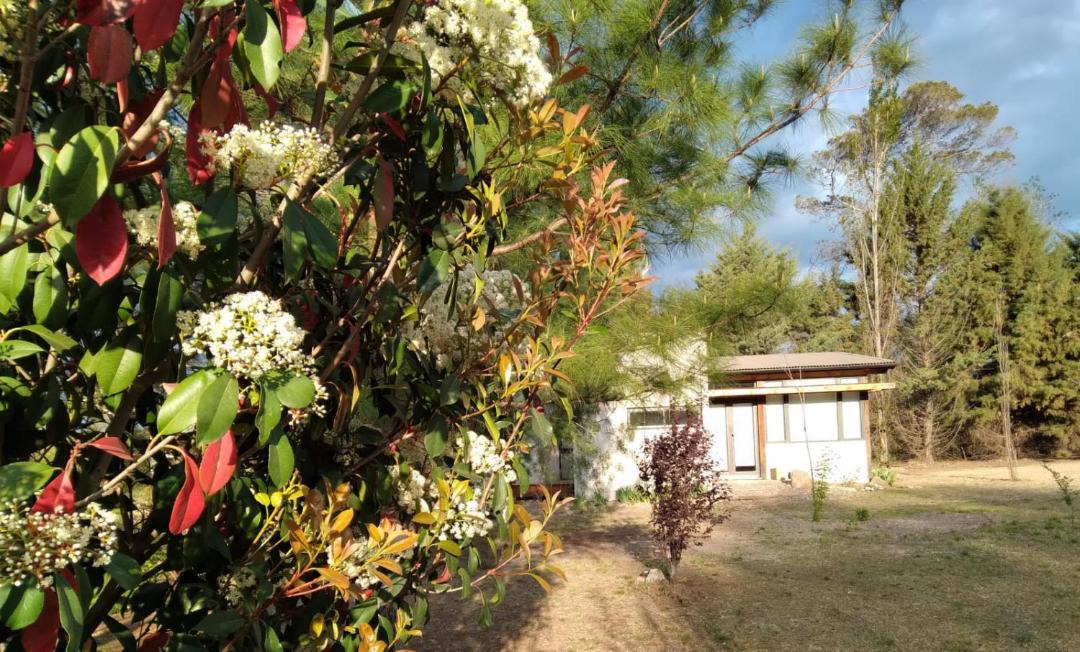 Photo of Outdoor in Villa Amancay