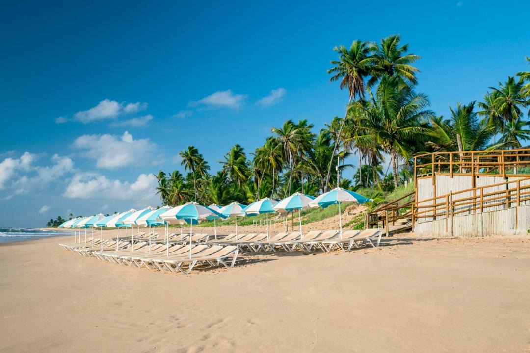 Photo of Others in Praia do Forte