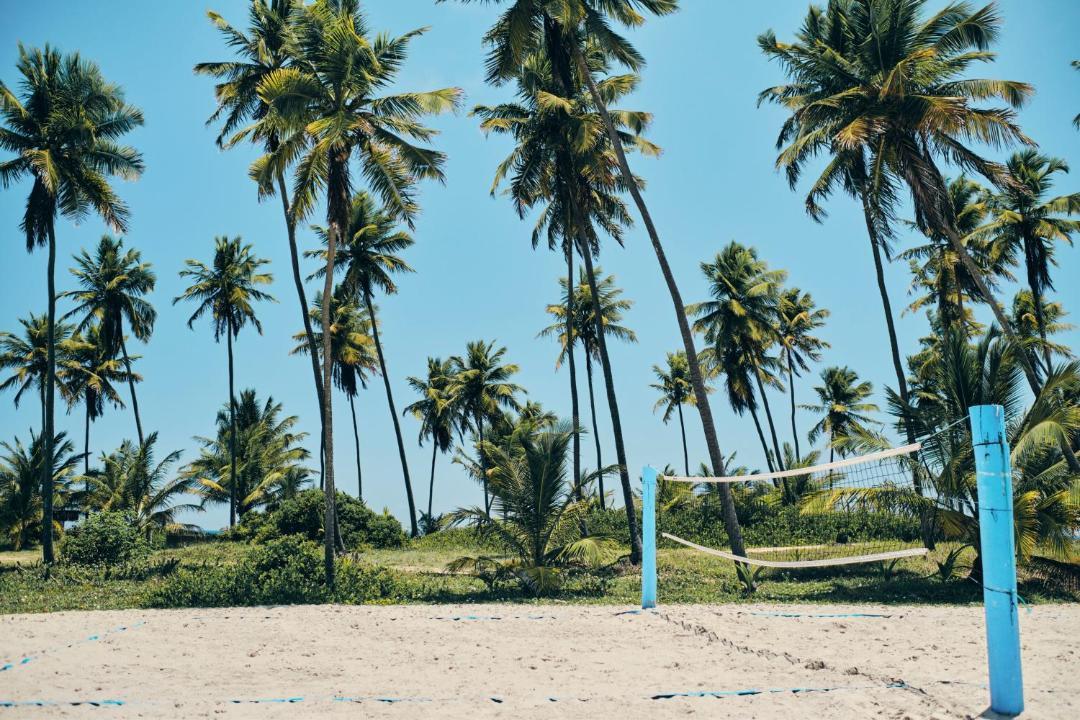 Photo of Others in Praia do Forte