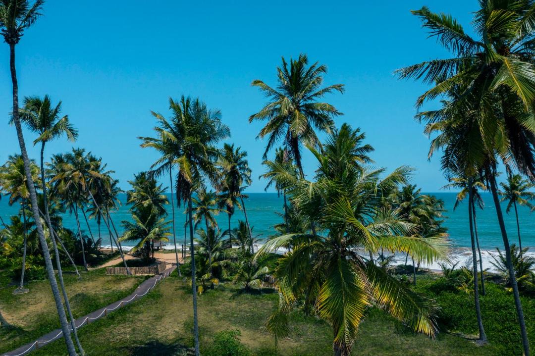 Photo of Others in Praia do Forte