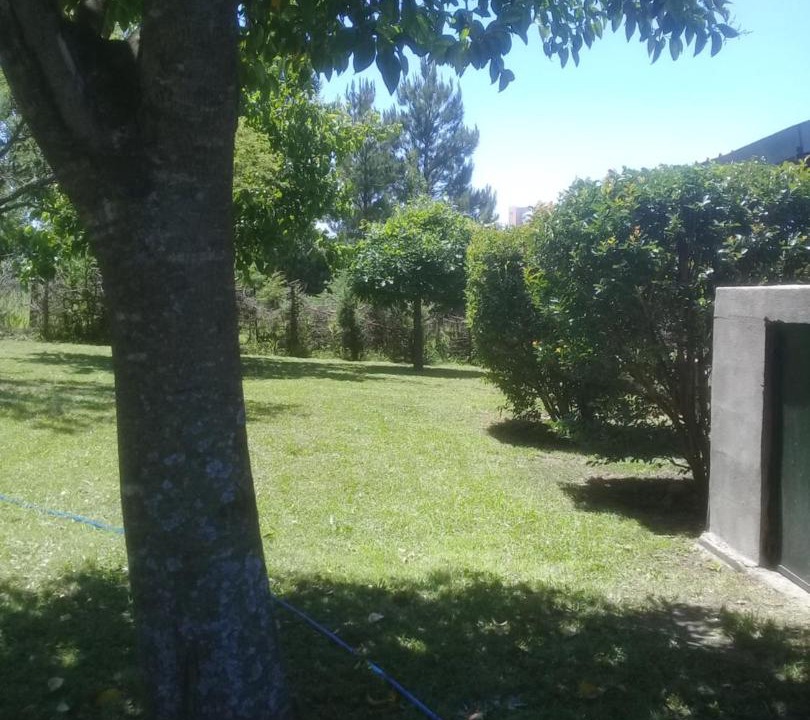 Photo of Others in Potrero de Garay