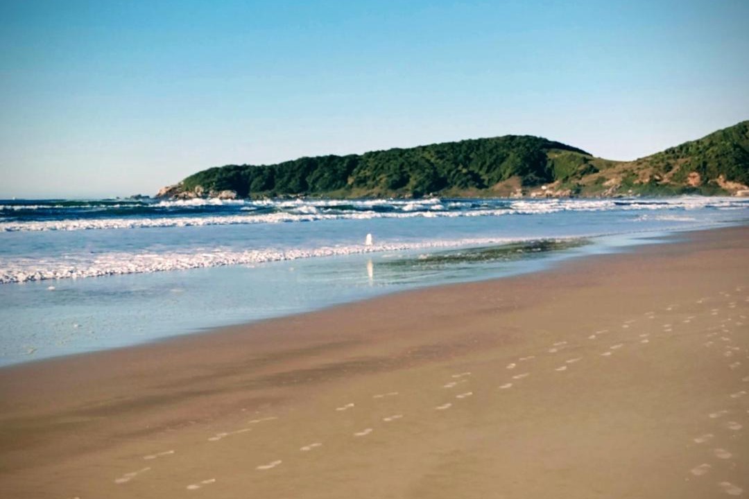 Photo of Others in Praia do Rosa