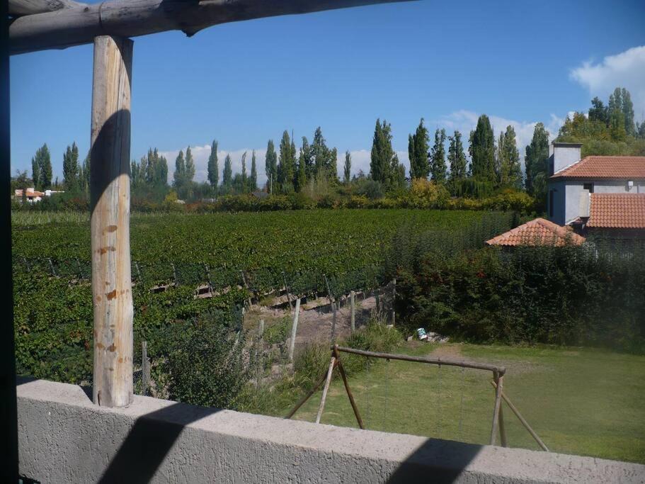 Photo of Others in Vistalba