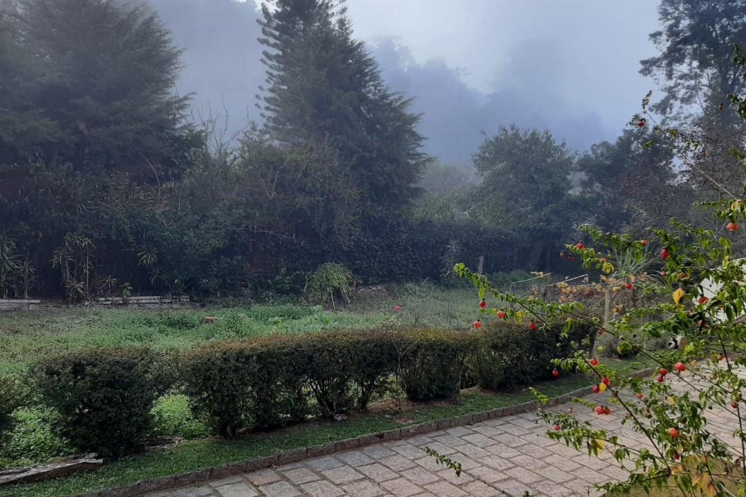 Photo of Others in Teresopolis