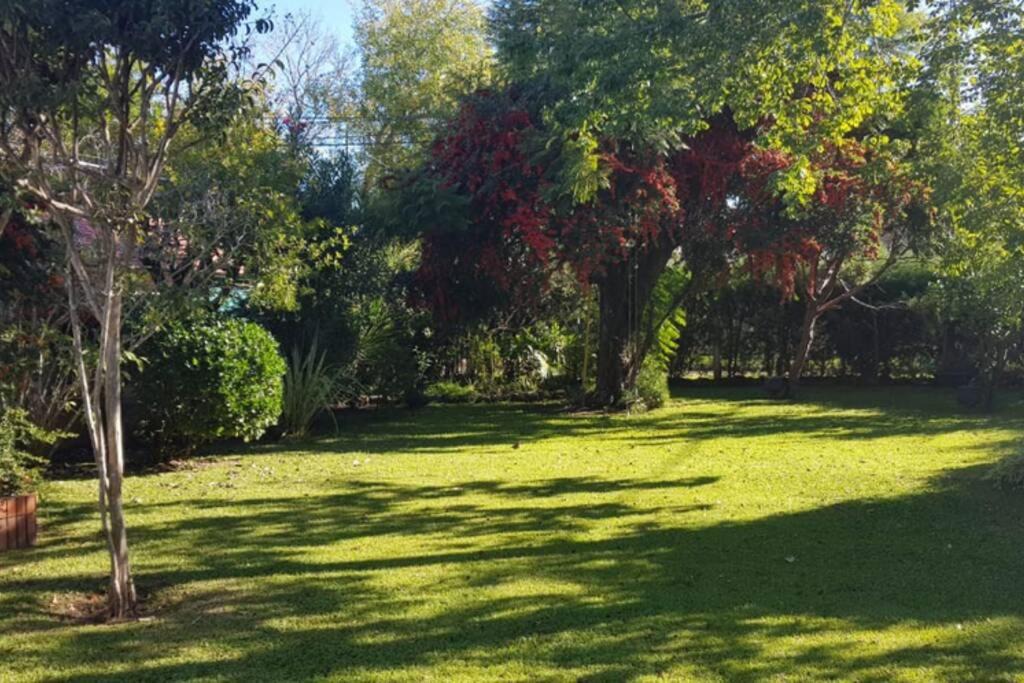 Photo of Others in Rosario