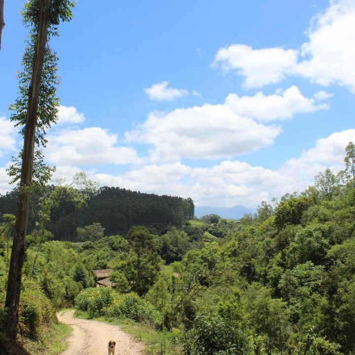 Photo of Outdoor in Lauro Muller