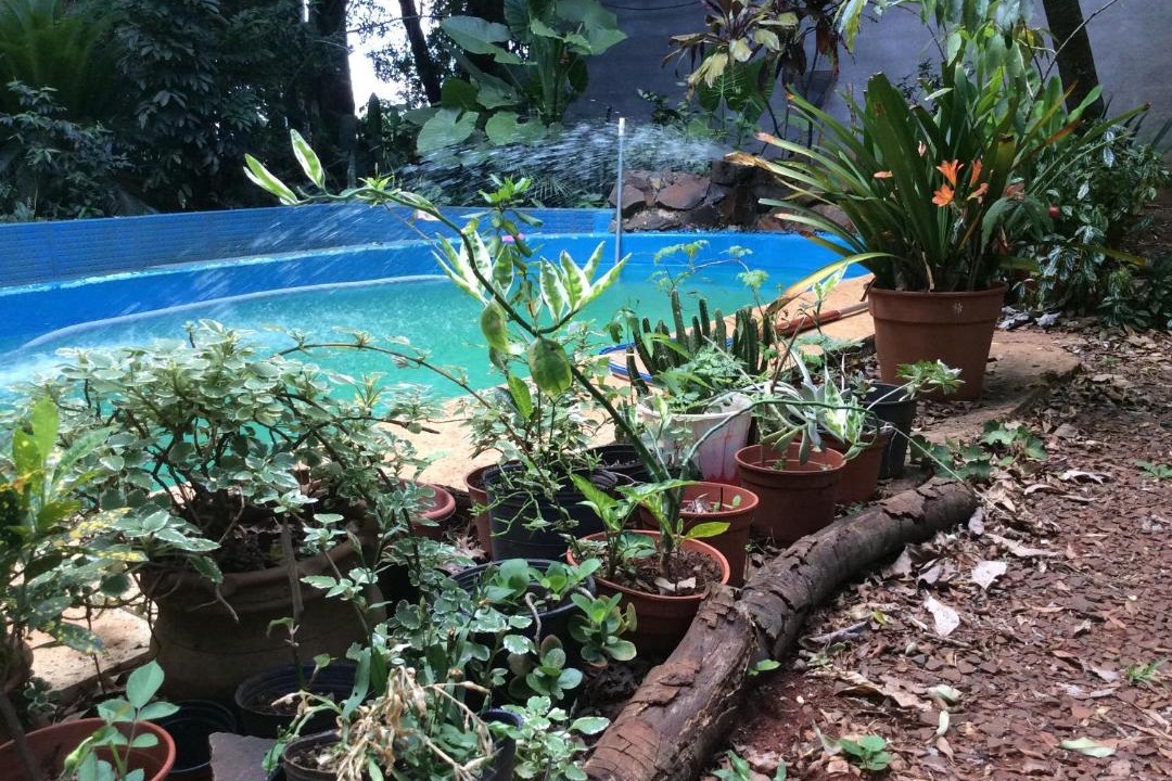 Photo of Others in Jardin America