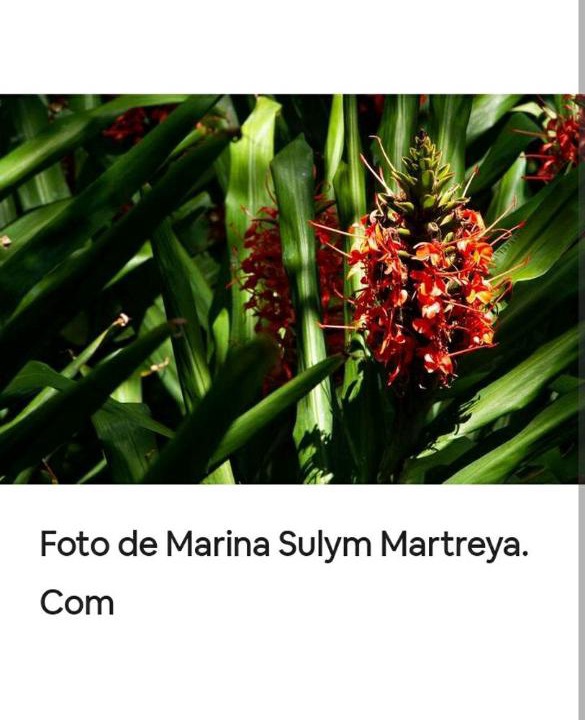 Photo of Others in Puerto Iguazu