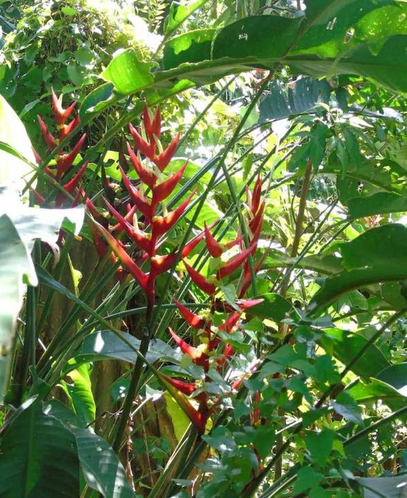 Photo of Others in Puerto Iguazu