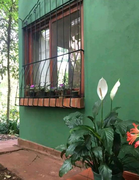 Photo of Others in Puerto Iguazu