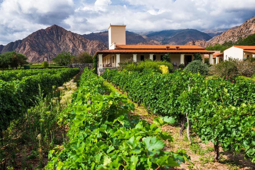 Photo of Others in Cafayate