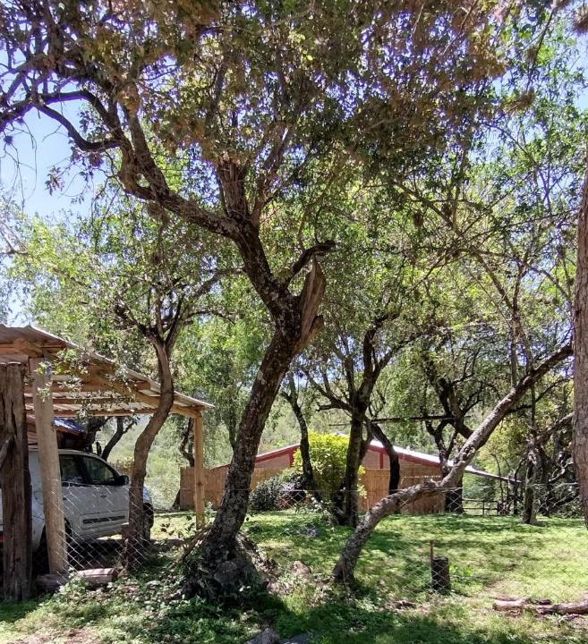 Photo of Others in Alta Gracia