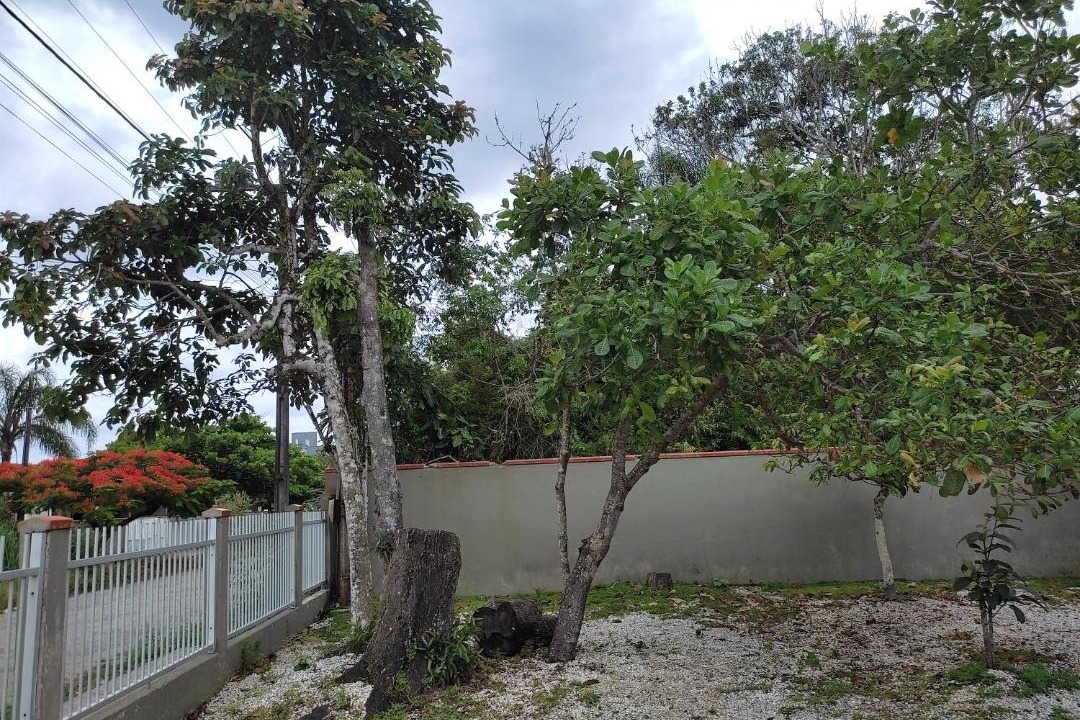 Photo of Others in Itapoa